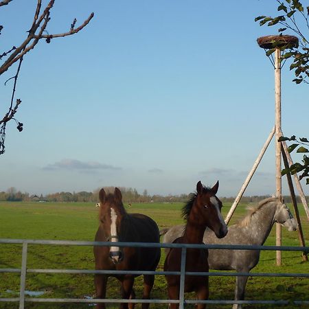 Boerderij "De Verwondering" Goudriaan Экстерьер фото