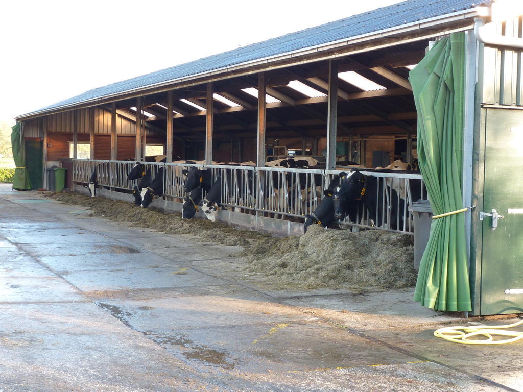 Boerderij "De Verwondering" Goudriaan Экстерьер фото