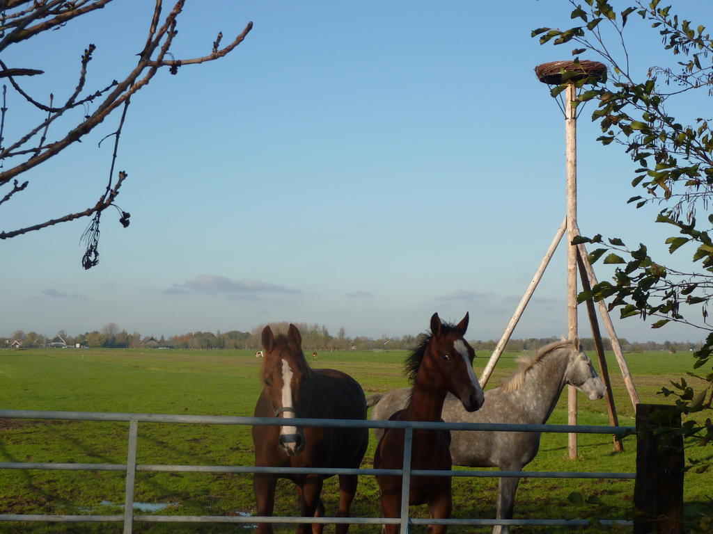Boerderij "De Verwondering" Goudriaan Экстерьер фото