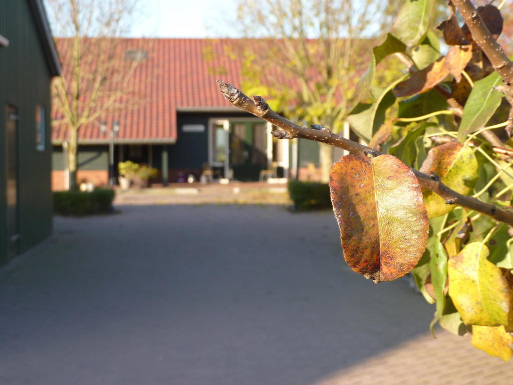 Boerderij "De Verwondering" Goudriaan Экстерьер фото