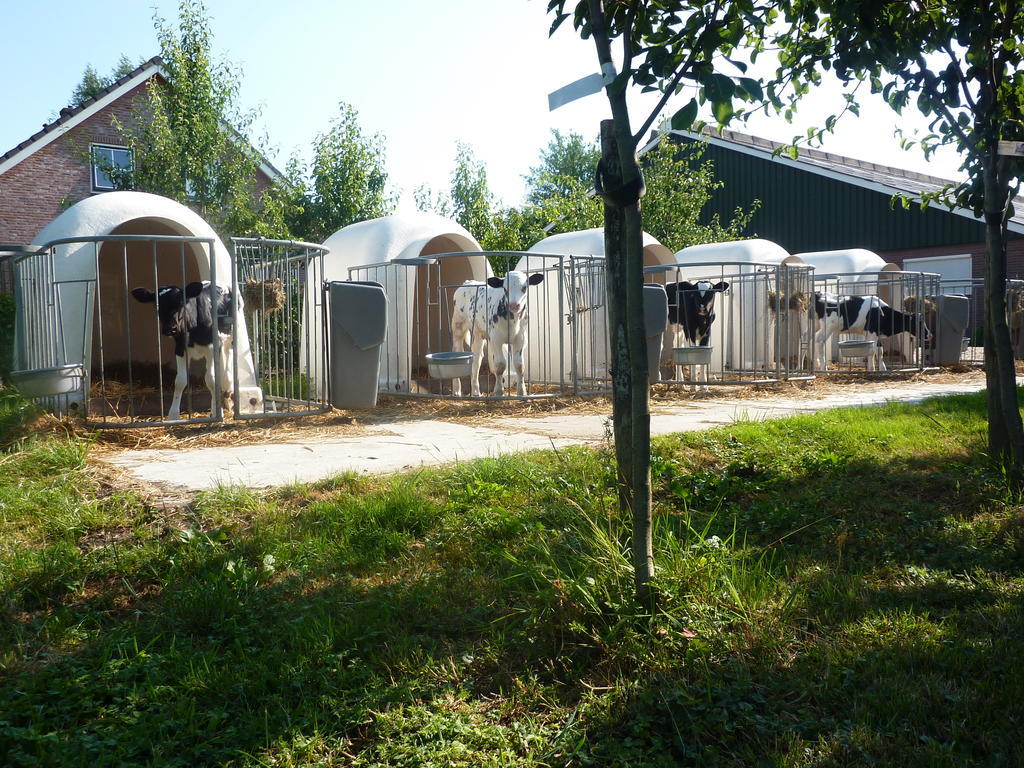 Boerderij "De Verwondering" Goudriaan Экстерьер фото
