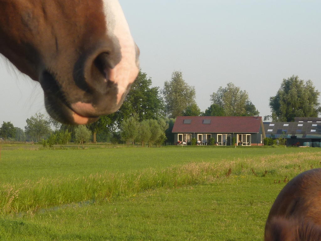 Boerderij "De Verwondering" Goudriaan Экстерьер фото